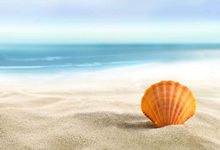 關于MDR法規2017/745：主要變化是什么？